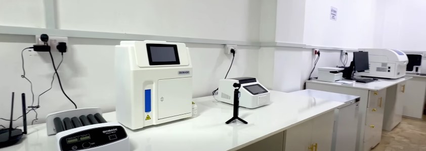 Automated Laboratory Workstation Equipment